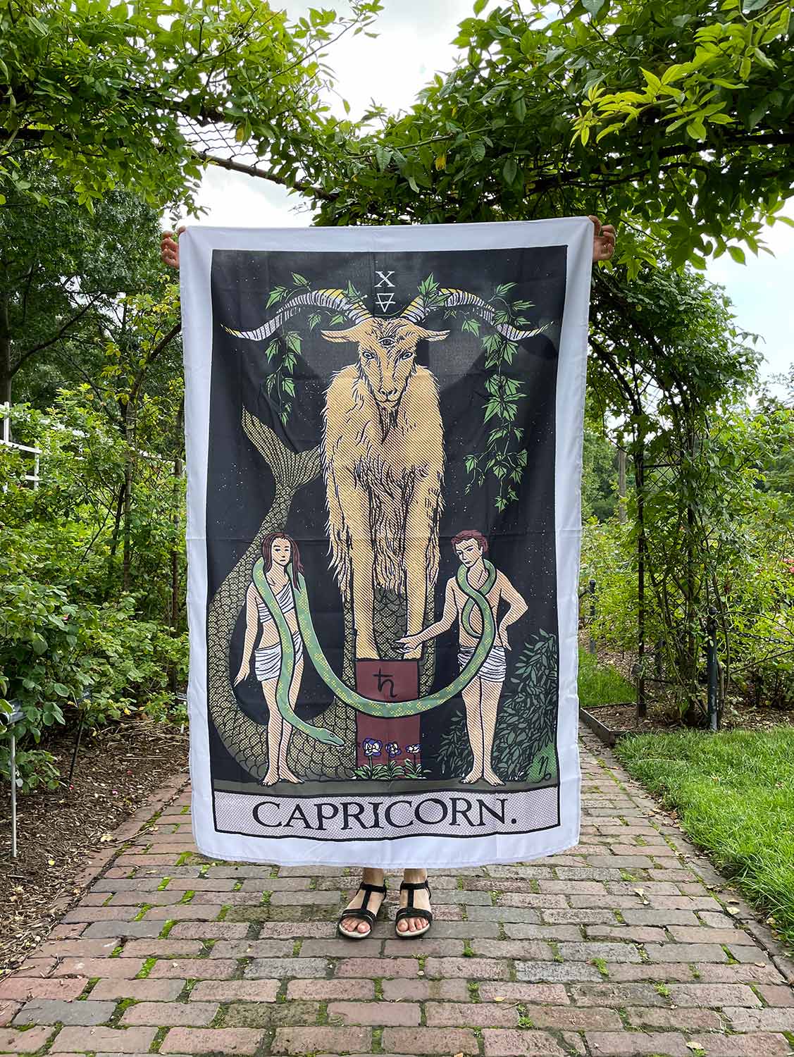 The Capricorn Devil Tapestry tapestry Nirvana Threads 